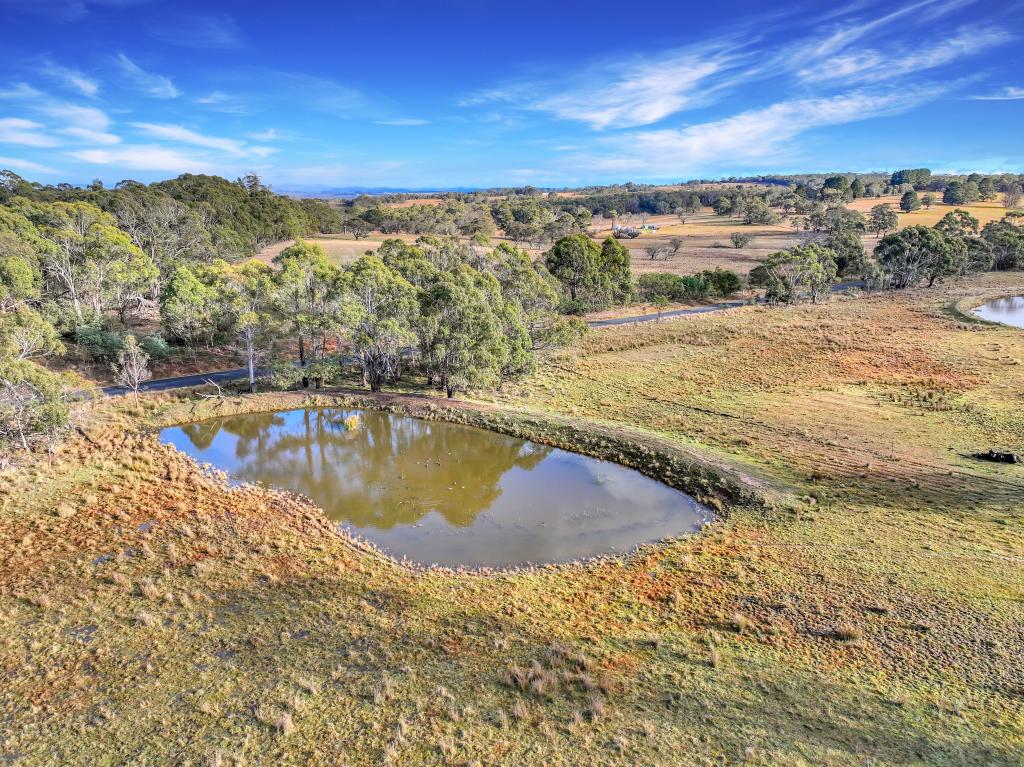 Lot 337 Bucky Springs Rd, Bombala, NSW 2632