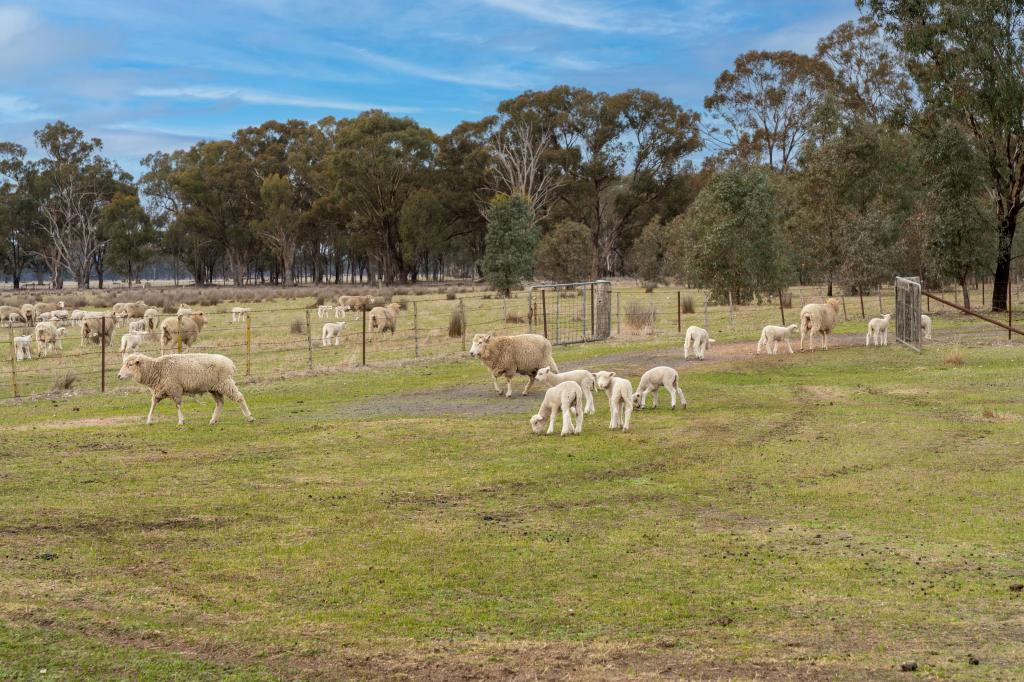 Lot 38 Pranjip Rd, Pranjip, VIC 3666