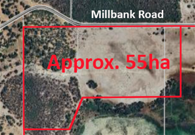 1644 MILLBANK RD, COWALLA, WA 6503