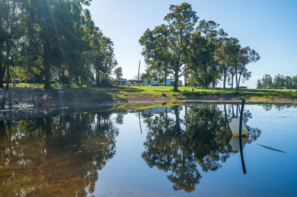 124 Ralston St, Manjimup, WA 6258