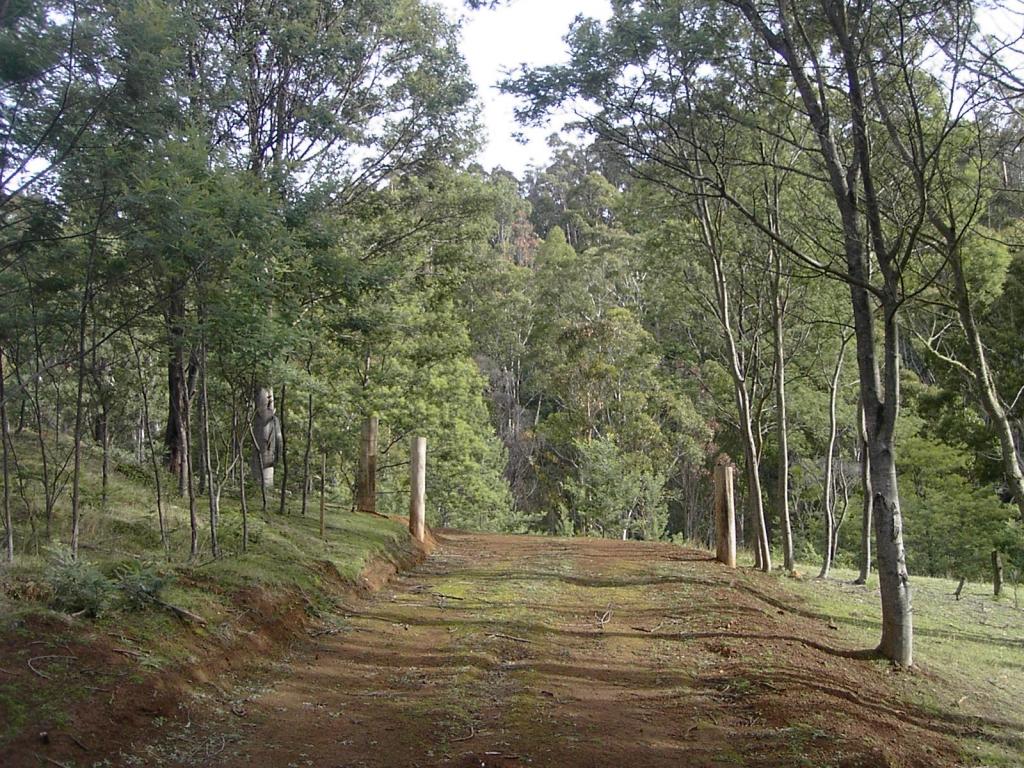 420 Springhill Bottom Rd, Colebrook, TAS 7027