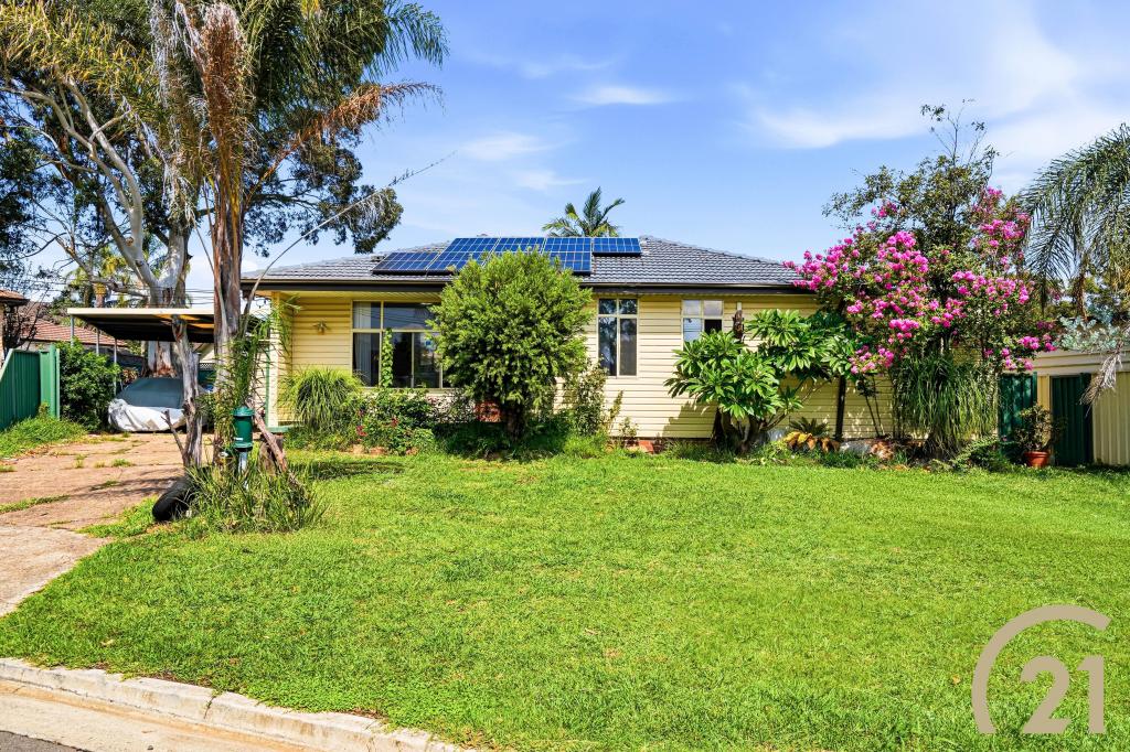 6 BULLOCK AVE, CHESTER HILL, NSW 2162
