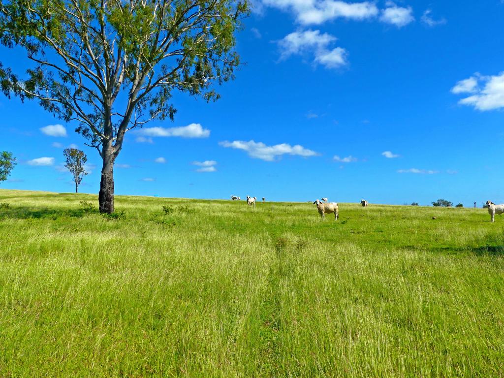 "Jacques " 0 Cunningham Rd, Nine Mile, QLD 4702