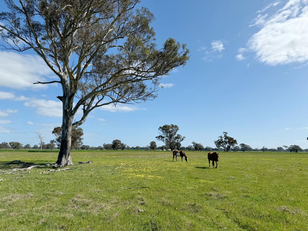 Lot 25 Walla-Walla Rd, Naracoorte, SA 5271