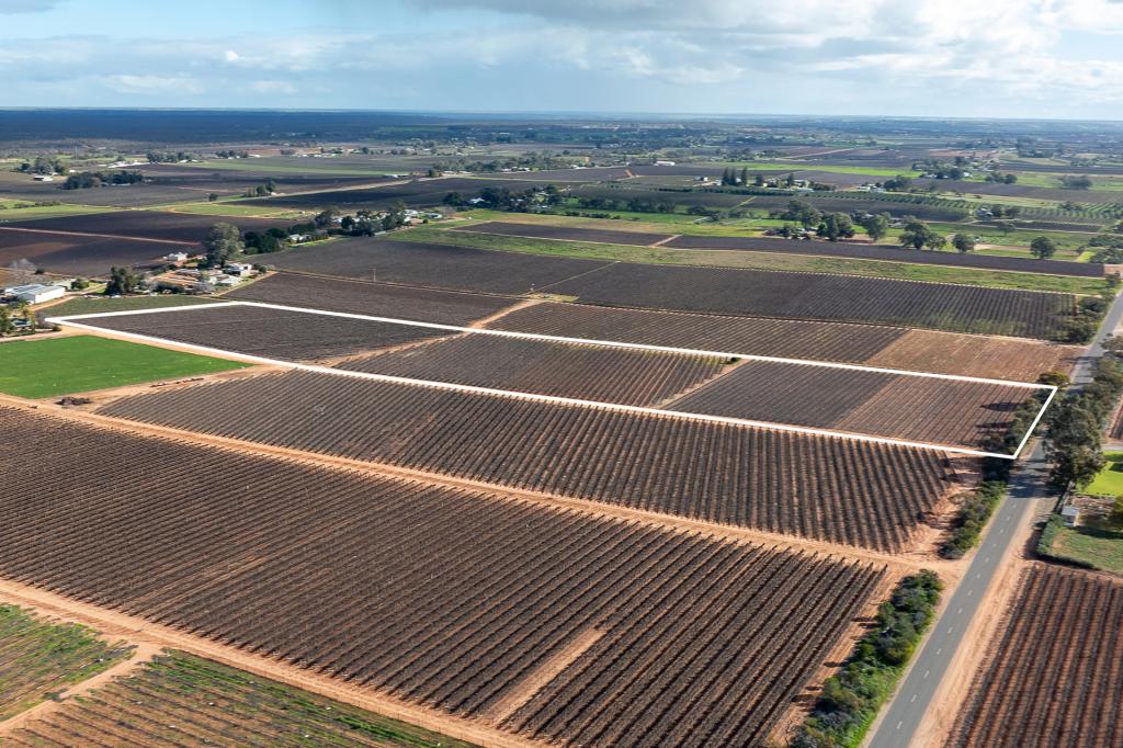 218 Dunstone Rd, Barmera, SA 5345