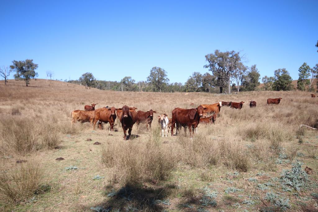 'Beeron' Beeron Road, Beeron, Mundubbera, QLD 4626