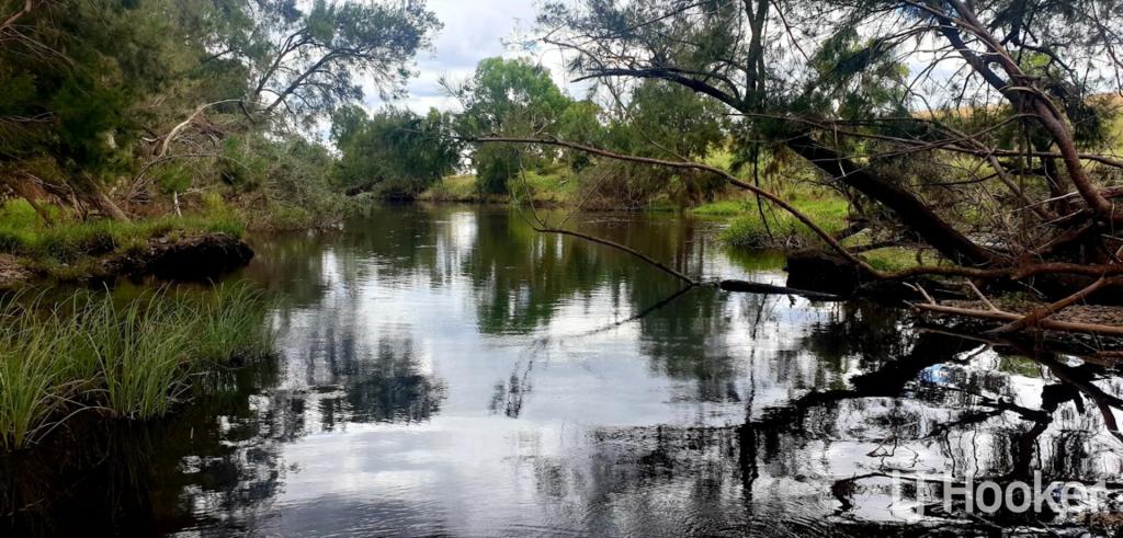 557 PINDARI DAM RD, INVERELL, NSW 2360