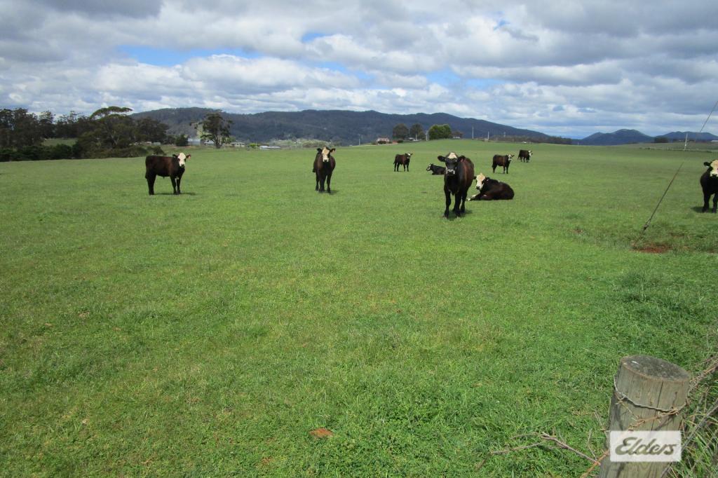 921 Melrose Rd, Melrose, TAS 7310