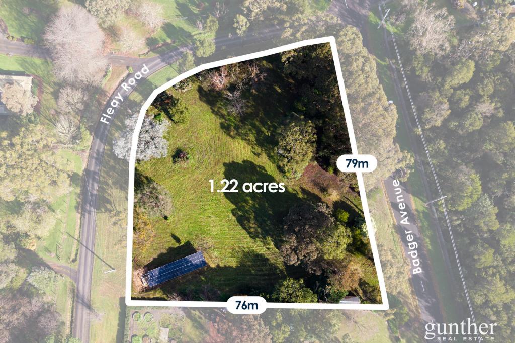 41 Badger Ave, Badger Creek, VIC 3777