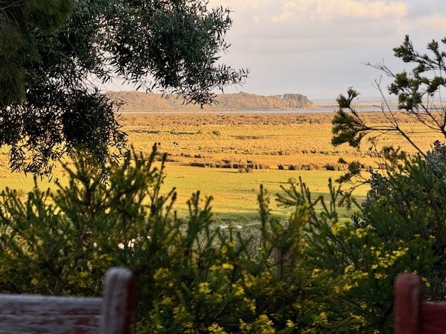 57 ALFRED CRES, VENUS BAY, VIC 3956