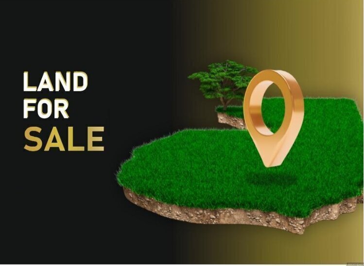 Contact Agent For Address, Wilton, NSW 2571