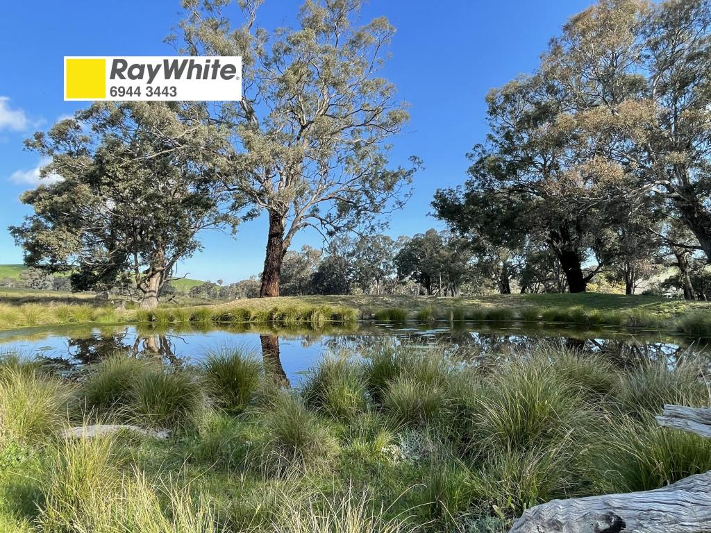 149 Long Tunnel Rd, Reno, NSW 2722