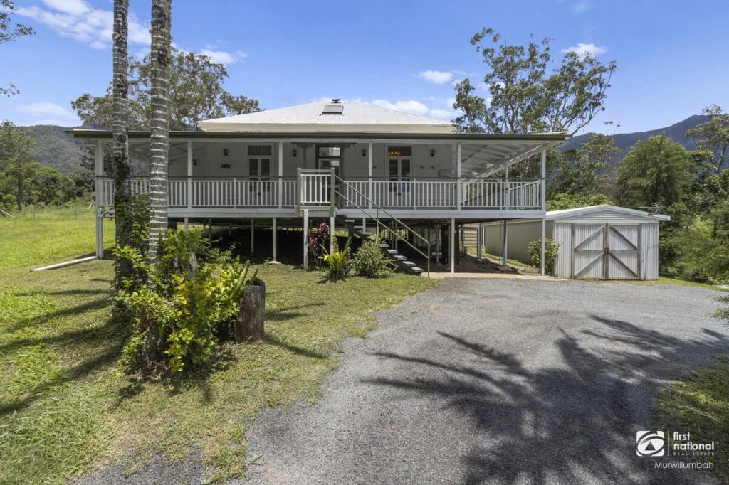 229 South Pumpenbil Rd, Pumpenbil, NSW 2484