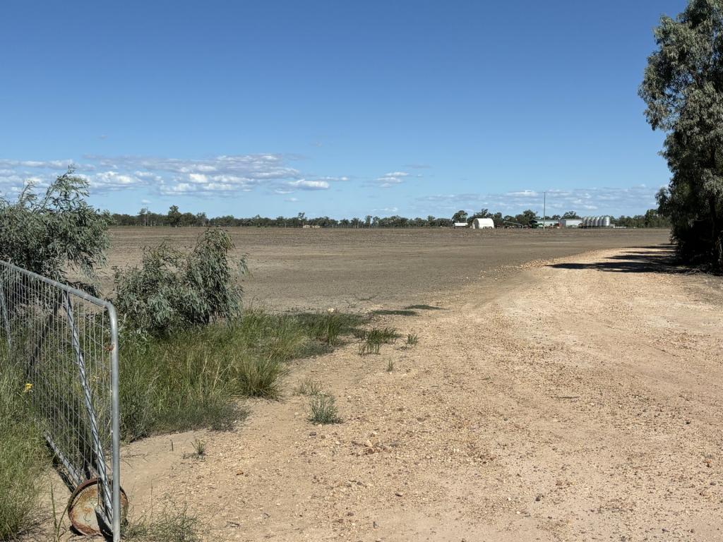 Contact Agent For Address, Goondiwindi, QLD 4390