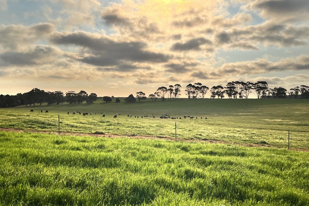 Lot 235 Stage 2 - Albany Views Private Estate - Albany Views Private Estate, Drome, Albany, WA 6330