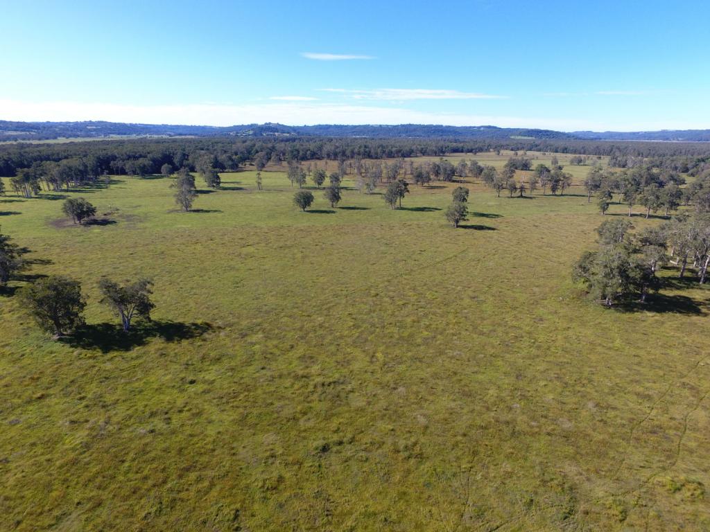 Lot 141-142 Tuckean Island Rd, Green Forest, NSW 2471