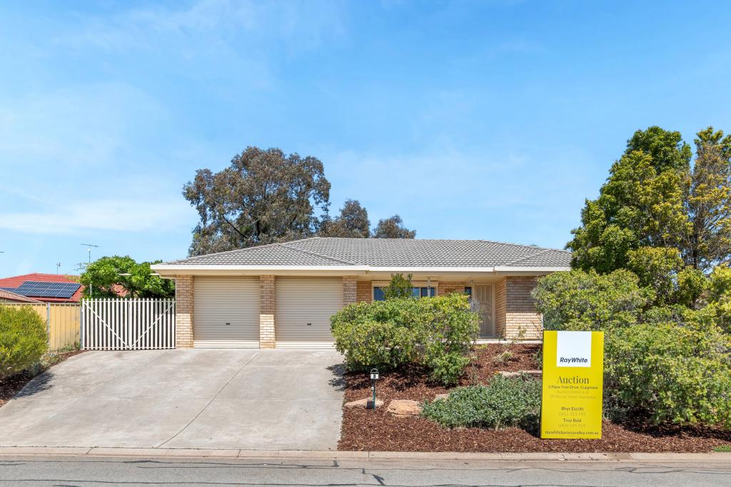 3 Plane Tree Dr, Craigmore, SA 5114