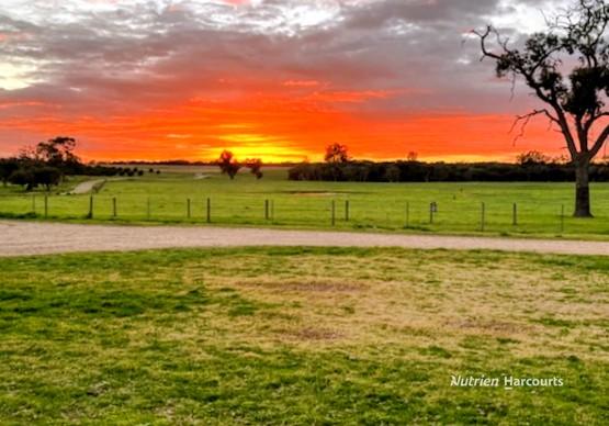 1770 BEERMULLAH RD W, GINGIN, WA 6503