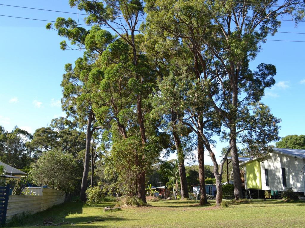 9 Wharf St, Macleay Island, QLD 4184