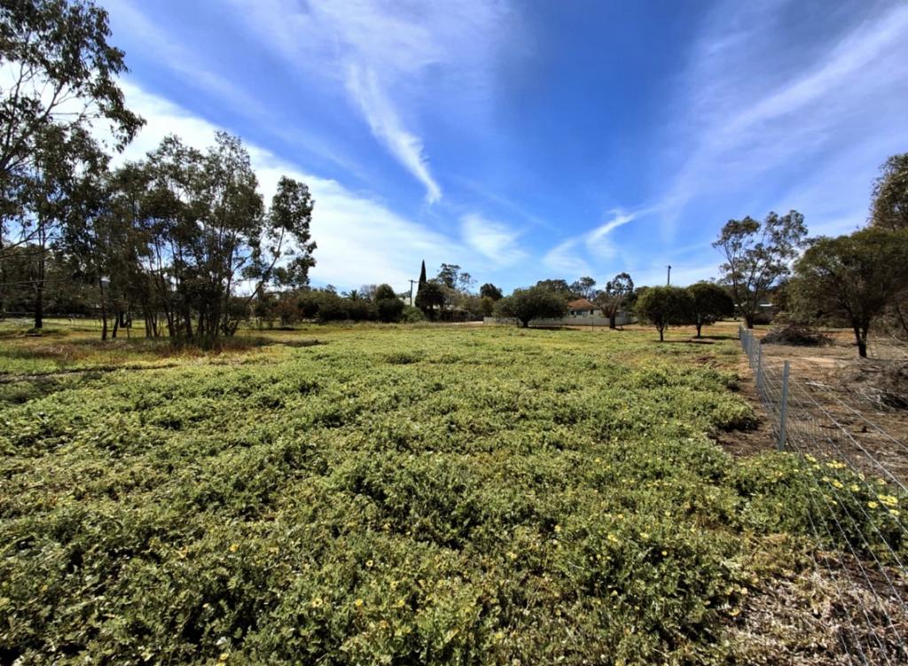 19 Clifford St, York, WA 6302