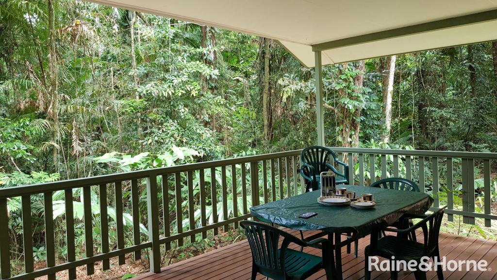 99 Black Bean Road, Cow Bay, Daintree, QLD 4873