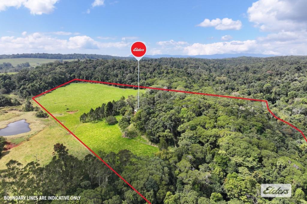 48 Wrights Creek Rd, Lake Eacham, QLD 4884