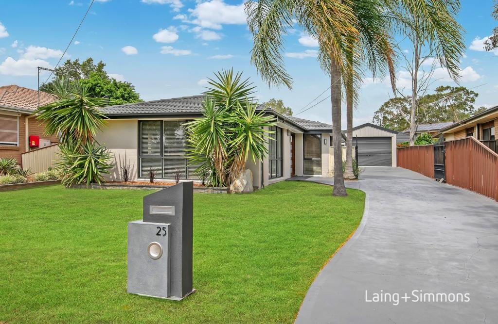 25 Hennesy Cres, Shalvey, NSW 2770