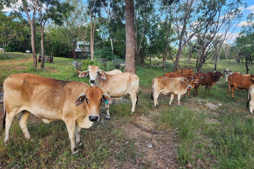 680 MILES RD, BATCHELOR, NT 0845