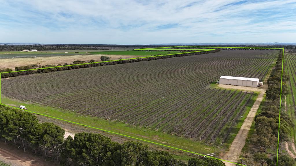 359 Chapel Rd, Lake Plains, SA 5255