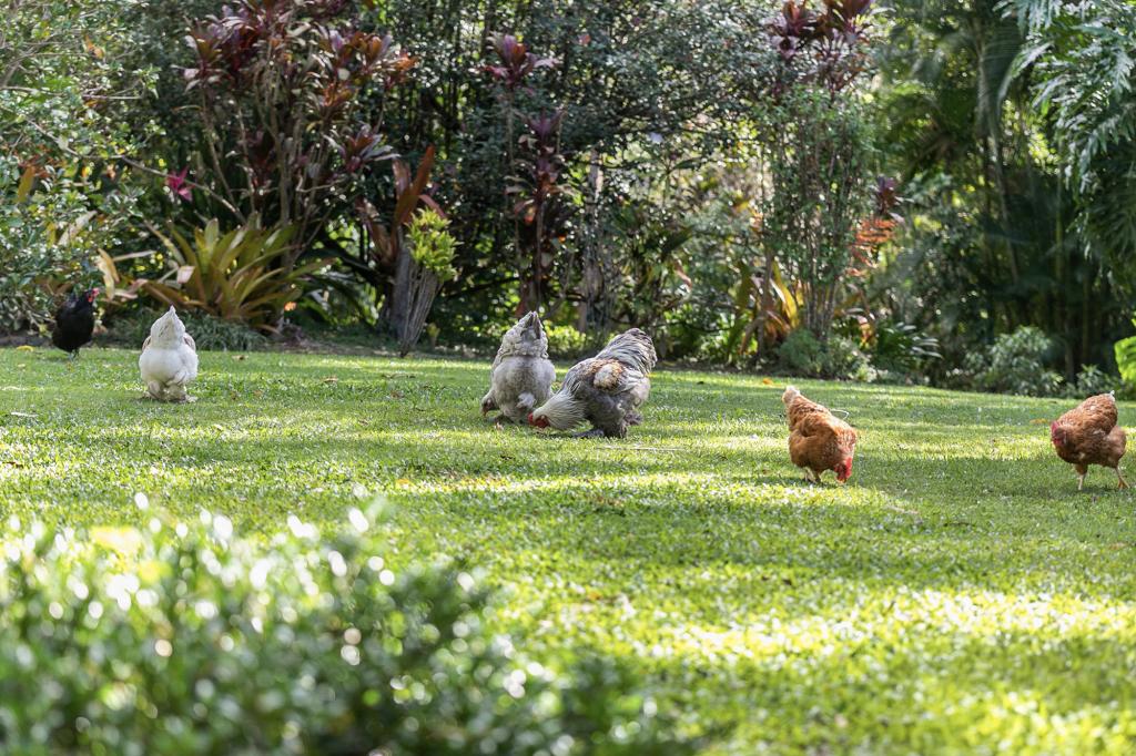 40 Silverwood Dr, Cooroibah, QLD 4565