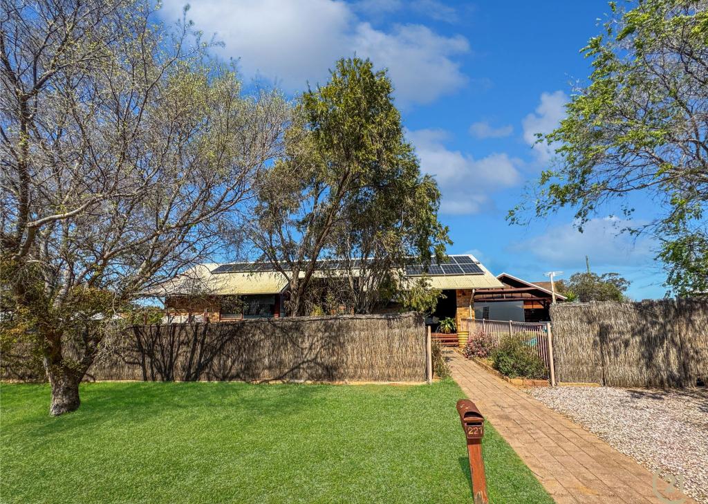 221 Farnell St, Forbes, NSW 2871