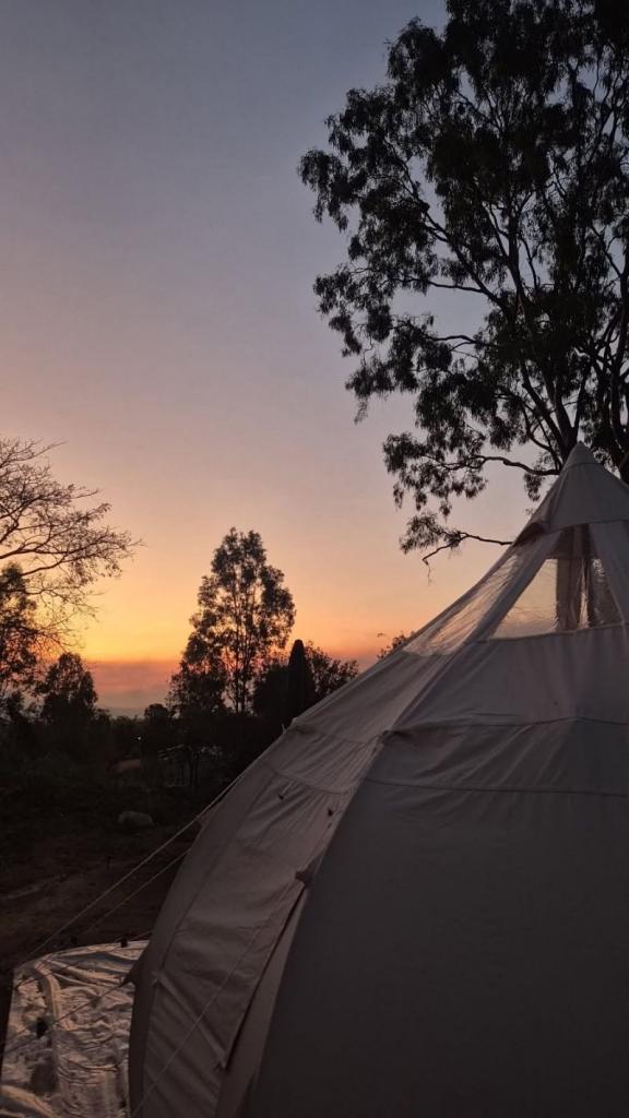 20 Hill St, Eton, QLD 4741