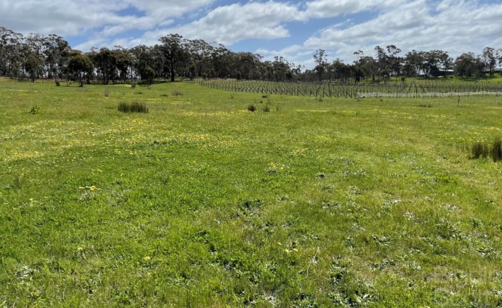 56 Pound Lane, Guildford, VIC 3451