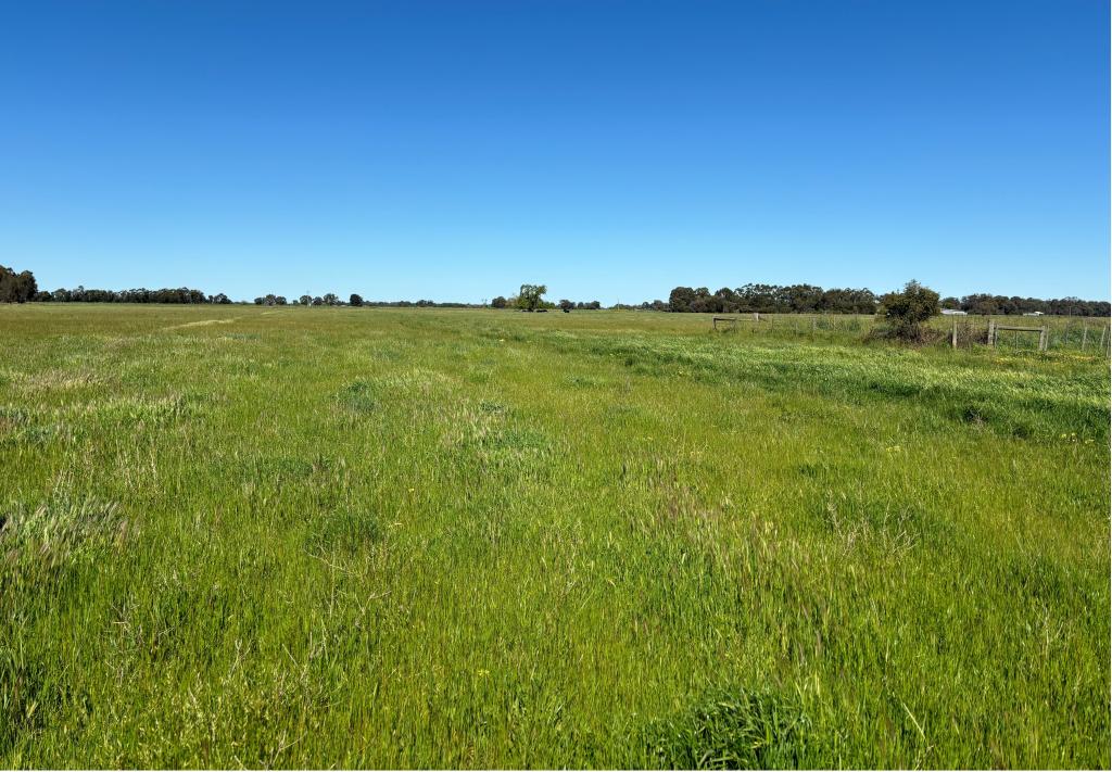 3480 GRAHAM RD, NANNEELLA, VIC 3561