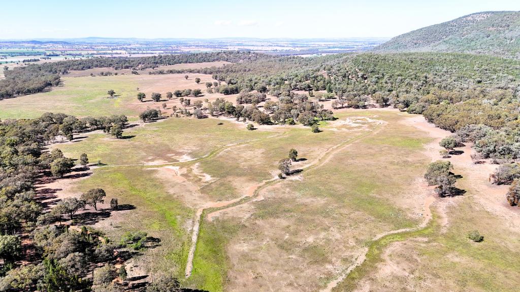 Lots 68 & 69 Stock Route Rd, Grenfell, NSW 2810