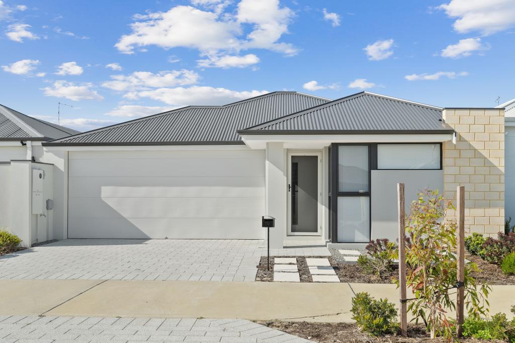 19 Planer Dr, Baldivis, WA 6171