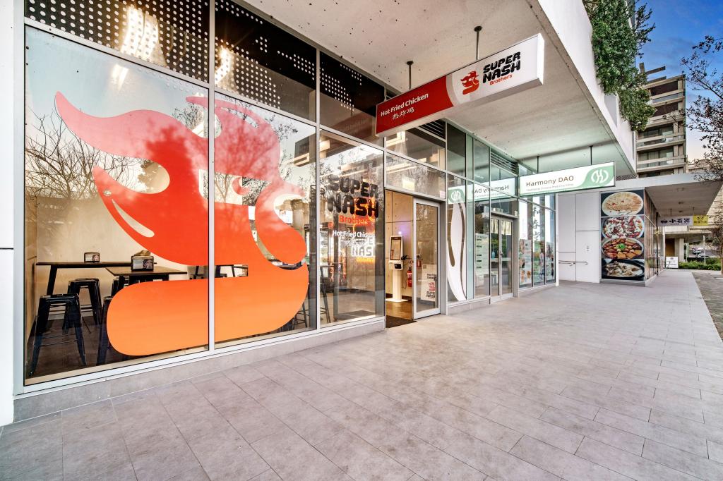 29 AMELIA ST, WATERLOO, NSW 2017