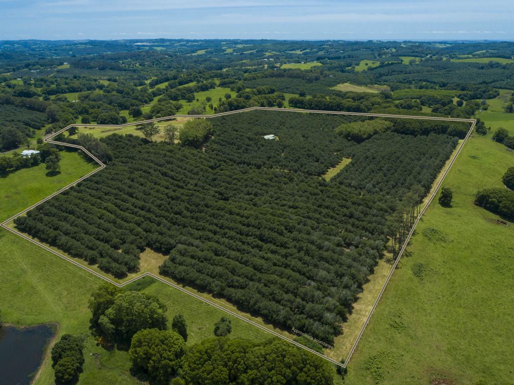 148 Humpty Back Rd, Mcleans Ridges, NSW 2480