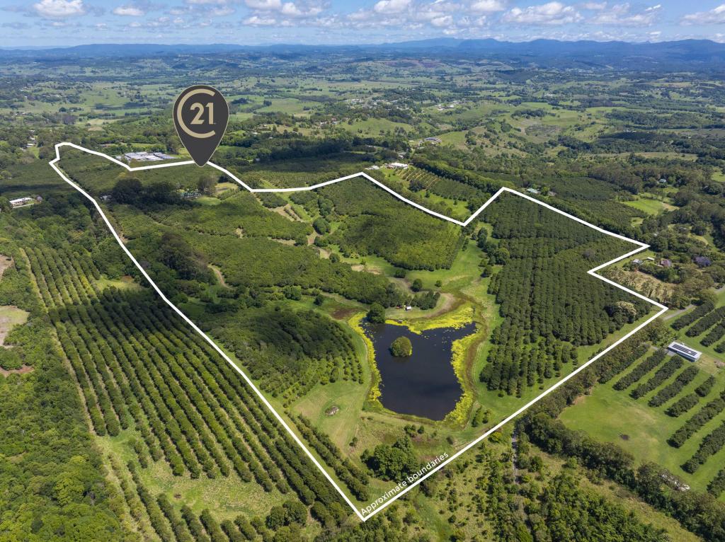 308 Cowlong Rd, Mcleans Ridges, NSW 2480