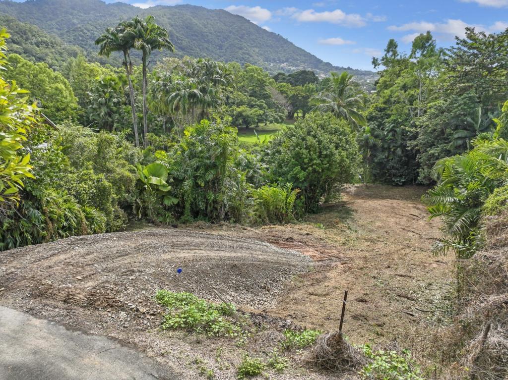 38a Granadilla Dr, Earlville, QLD 4870