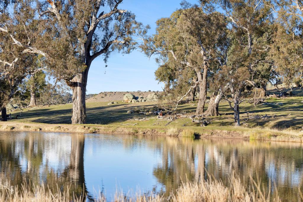 Lot 2  727 - Lp12750 Coliban Park Rd, Redesdale, VIC 3444