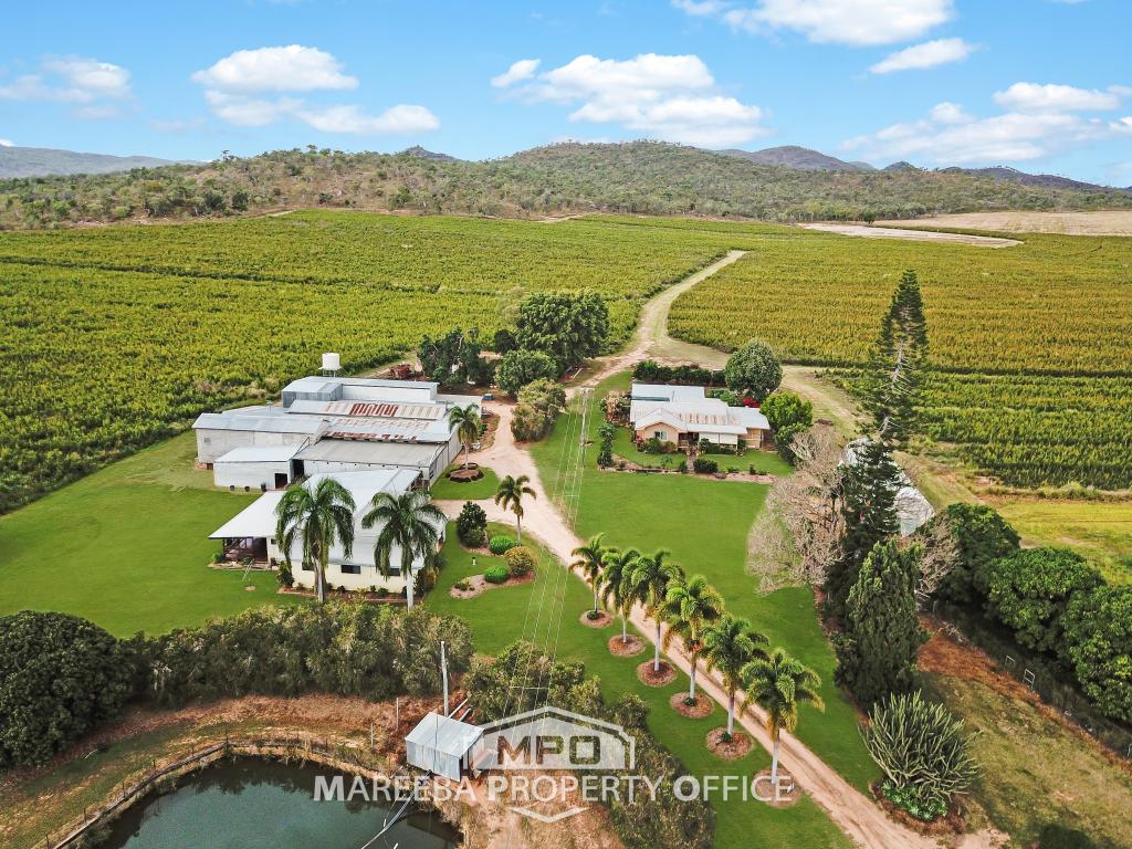 15 Minisini Rd, Dimbulah, QLD 4872