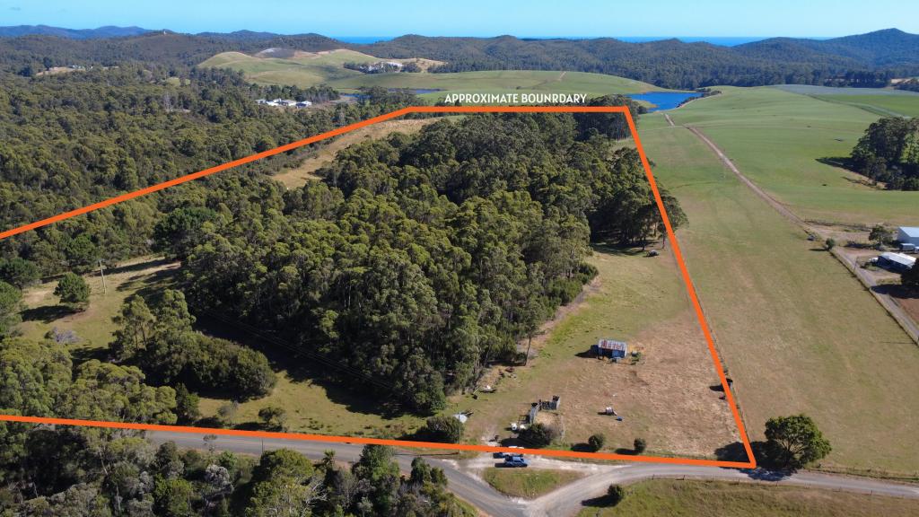 100 Devils Elbow Rd, Sisters Creek, TAS 7325