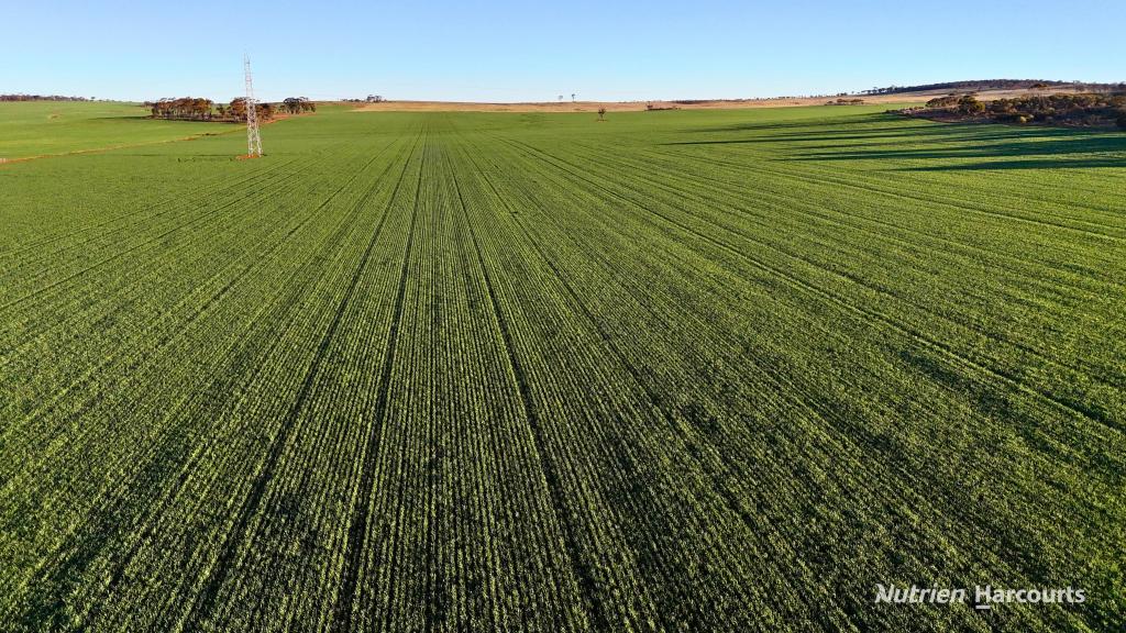 Lot 379 Garratt Rd, Southern Cross, WA 6426