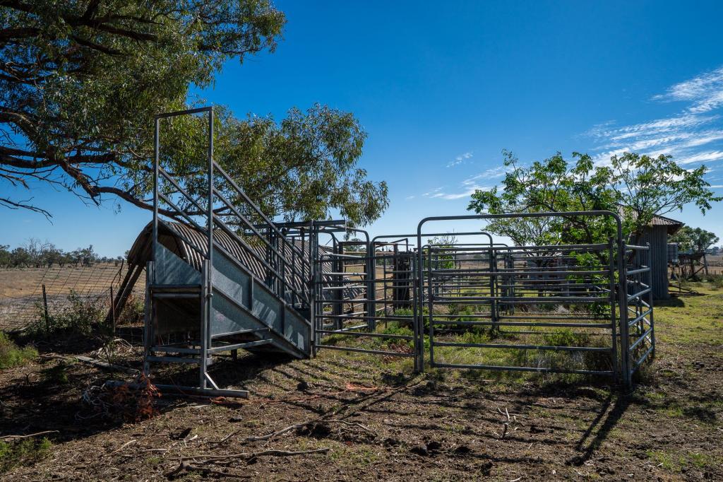 75 JOBS RD, YEOVAL, NSW 2868
