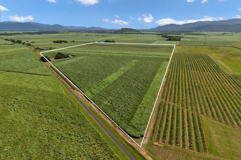 229 Russell Rd, Gordonvale, QLD 4865