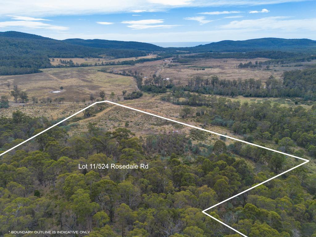 Lot 11/524 Rosedale Rd, Bicheno, TAS 7215