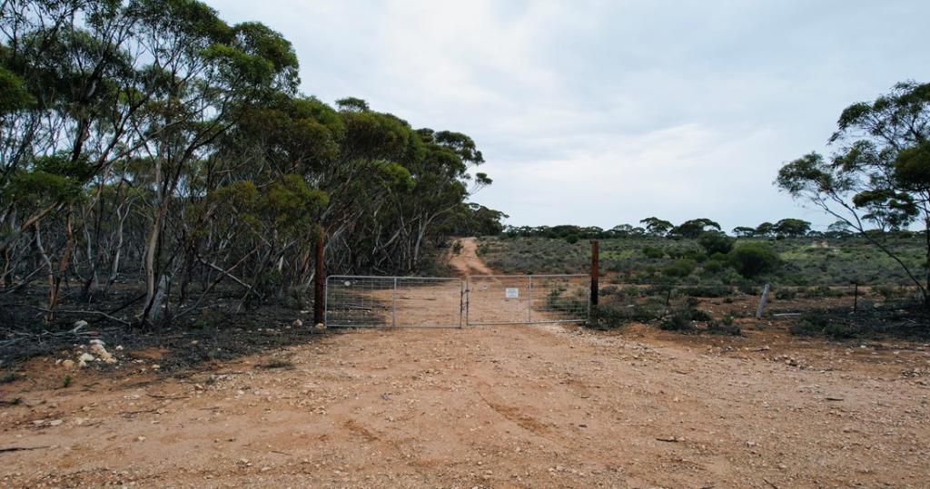 Lot 5 & 221 Stott Highway And Pine Hut Rd, Sedan, SA 5353