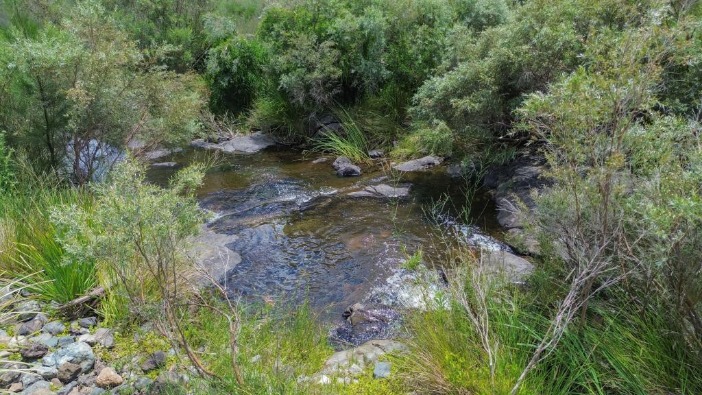 1325 Connolly Dam Rd, Silverwood, QLD 4370