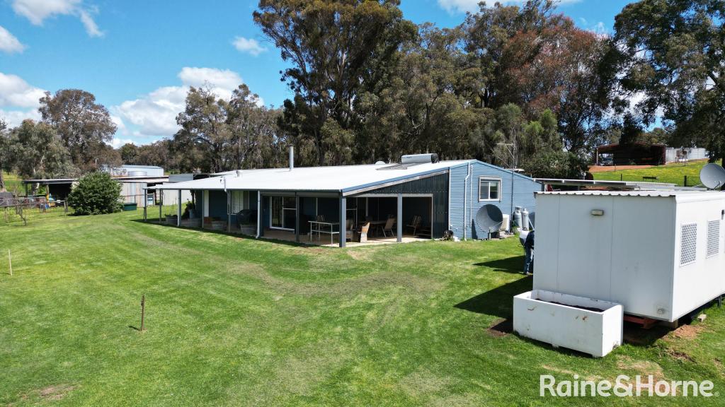 428 Foley Rd, Scotts Brook, WA 6244